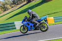 Lower Group Blue Bikes